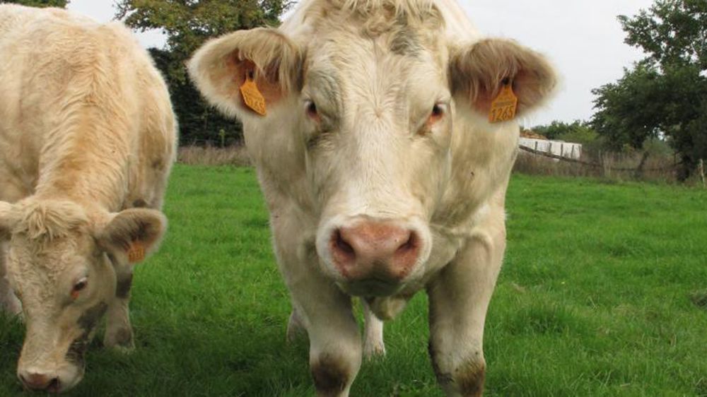 © H. Chaligne / GFA